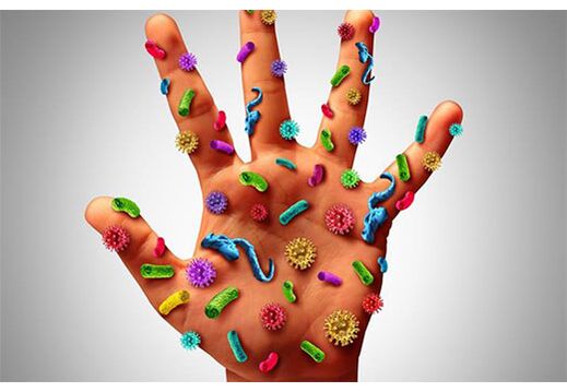 Os focos do papilomavírus humano estão localizados nas mãos