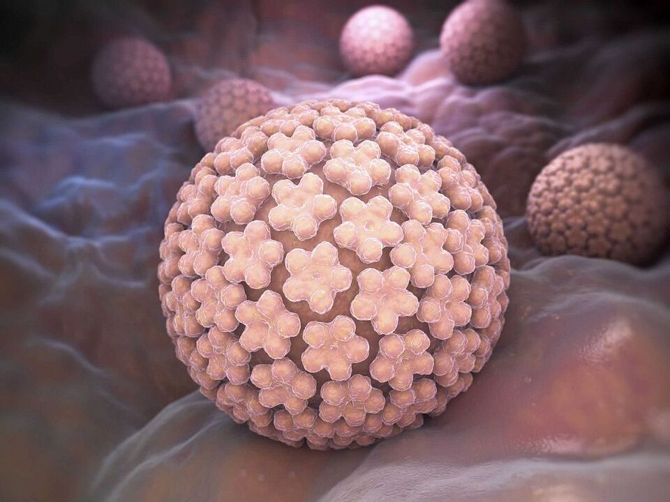 causas do HPV